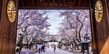 �p��̐S��m���āu���{�Ɍւ肪���Ă��v