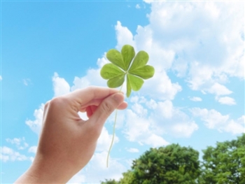 �d���Y���ʃh�b�g�R��