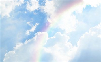 �R��11���f�B�Y�j�[�����h��