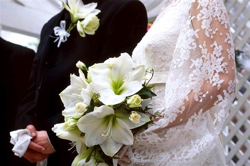 �ޏ��ɓ��˂ɐU��ꂽ