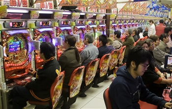 �d���Y���ʃh�b�g�R��